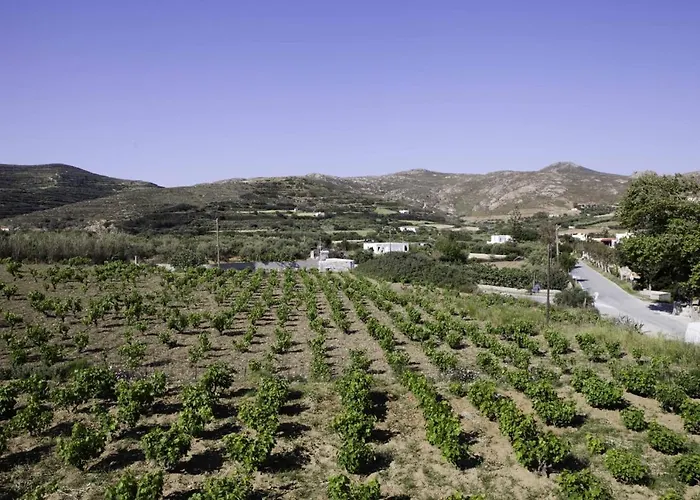 Villa Stelianna Engaraí