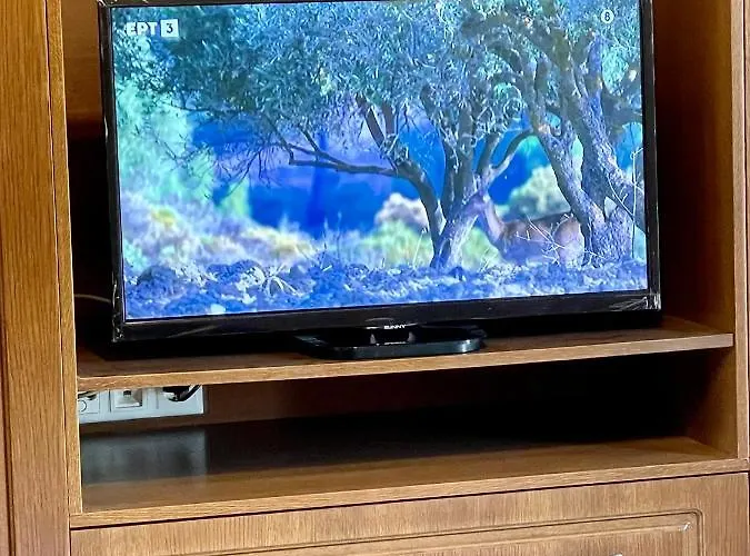 Stelianna Villa Engaraí